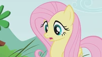 Fluttershy looks surprised S1E07