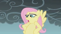 Fluttershy serious face S01E07