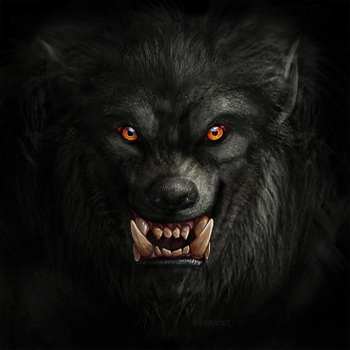 http://images4.wikia.nocookie.net/__cb20111207010633/powerlisting/images/0/0c/Werewolf2.jpg