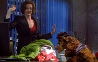 Fozzie laundry bitterman