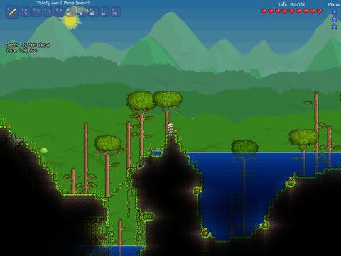 Terraria Surface Jungle