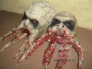 Bloodsucker heads