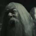 Dumbledore grief.jpg