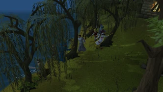 DraynorWillowTrees