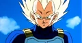 SSVegeta(1)