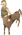 Centaur