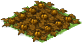 Golden Carrots Withered