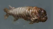 MaggotFish01Concepts01