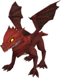 Baby Red Dragon