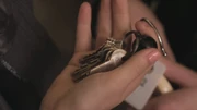 PLL114-0738