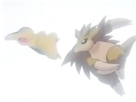 EP143 Sandslash utilizando arañazo