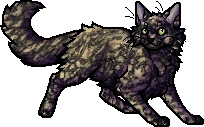 Olivenose.apprentice