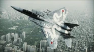 F-15C WHITE DRAGON