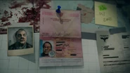 VolkPassport