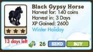 Black Gypsy Horse 2011 Market Info