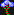 Bubble Vine.png (912 B) Bubble Vine