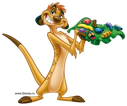 Timondisney.jpg