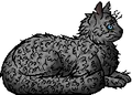 Goosefeather.elder