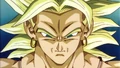 Broly 17