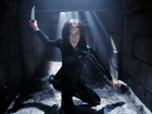 Underworld evolution1