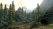 Mountain Forest Path