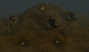 Spider hill