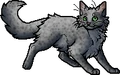 Pebblefoot.apprentice