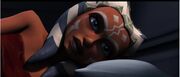 Ahsoka-Schlafen