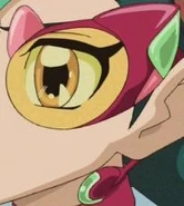 Tori's D-Gazer