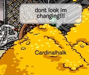 Club Penguin-3