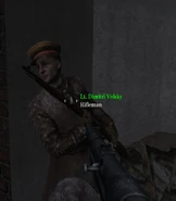 Dim Volk