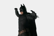 Batsbegins001