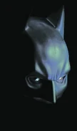BATMAN BEGINS-084