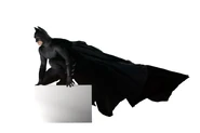 BatsBegins4
