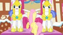 Royal guards prevent Fluttershy from entering S01E22