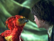 Phoenix2