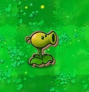 Cardboard Peashooter.jpg (14 KB)