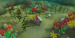 Kelps
