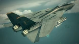 F-14D Wardog
