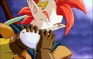 Pdvd027