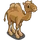 Bactrian Camel