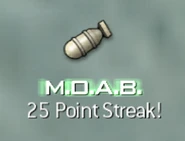 MOAB Point Streak