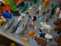 Animalassortment