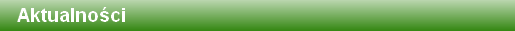 Tlo green.png