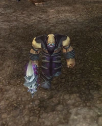 ShamanoftheBlack