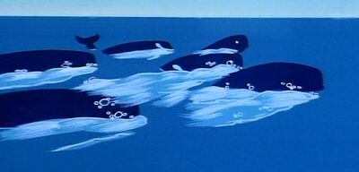 Whale