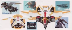 Bird Garuda