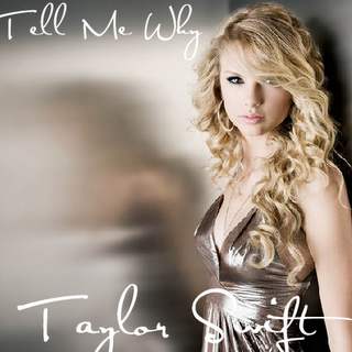 taylor swift tell me why about
