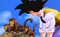 PaozuMonkeys(Ep288)