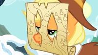 Applejack wearing a map on her face S2E11